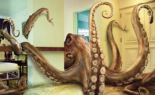 Octopus Invasion, brązowy kraken wewnątrz pokoju ilustracja, zabawny, ośmiornica, inwazja ośmiornicy, Tapety HD HD wallpaper