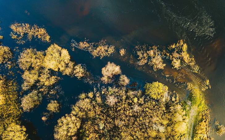 alam, pohon, air, pemandangan udara, Wallpaper HD