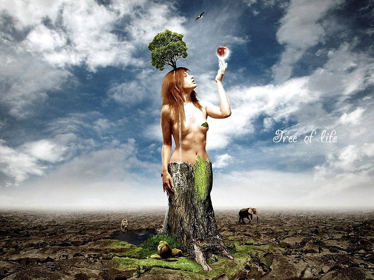 Drzewo życia, ilustracja driad, sztuka i kreatywność, kreatywne, drzewo, jabłko, dziewczyna, Tapety HD
