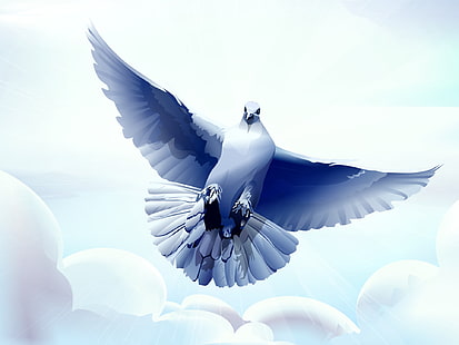 white and blue pigeon illustration, dove, bird, flying, vector, HD wallpaper HD wallpaper
