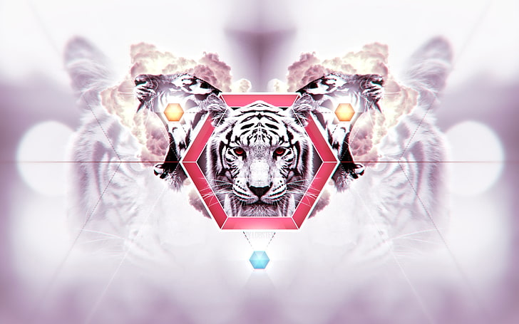 ilustrasi harimau putih, harimau, wajah, belang, latar belakang, Wallpaper HD