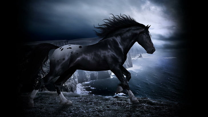 cavalo, trevas, crepúsculo, noite, mar, costa, juba, beleza, cavalo preto, HD papel de parede