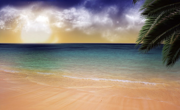 Beach Dream, su kütlesi ve yeşil Hindistan cevizi ağacı, Aero, Yaratıcı, Plaj, Rüya, HD masaüstü duvar kağıdı