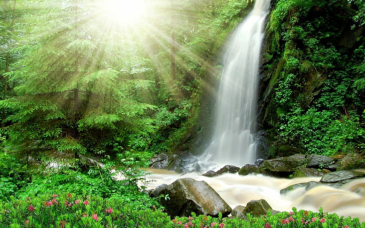 Waterfalls, Waterfall, Flower, Nature, River, Sun, Sunbeam, HD wallpaper