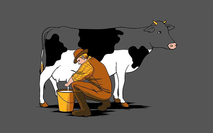 cows, Milk, HD wallpaper