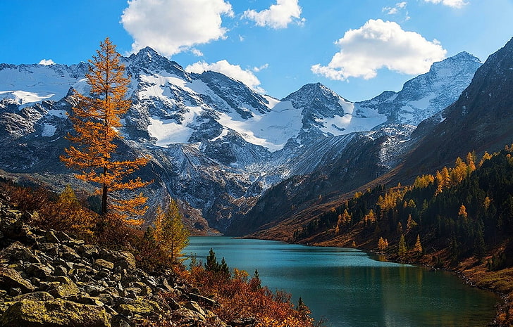茶色の葉の木と雪に覆われた山、自然、山、湖、雪、秋、アルタイ山脈、雪のピーク、風景、森林、ロシア、雲、木、緑、水、オレンジ、白、青、 HDデスクトップの壁紙