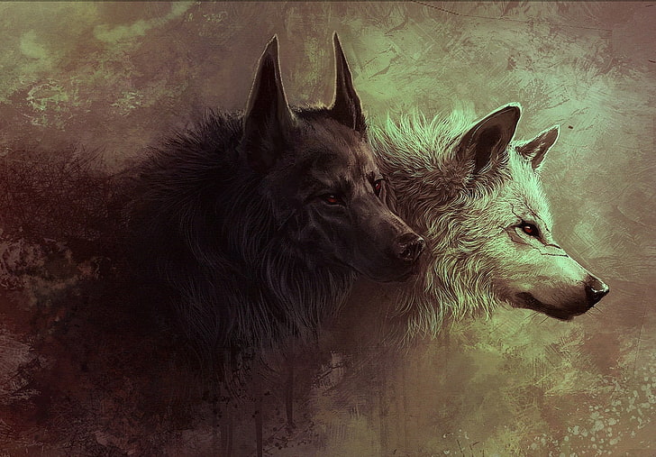 живопись двух черно-белых лис, волк, цифровое искусство, фэнтези, произведения искусства, животные, HD обои