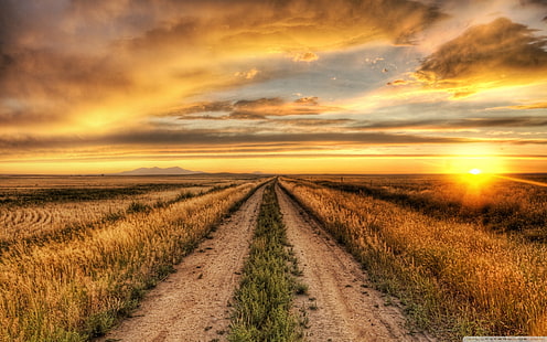 Wallpaper Country Road At Sunset 2560 × 1600, Wallpaper HD HD wallpaper