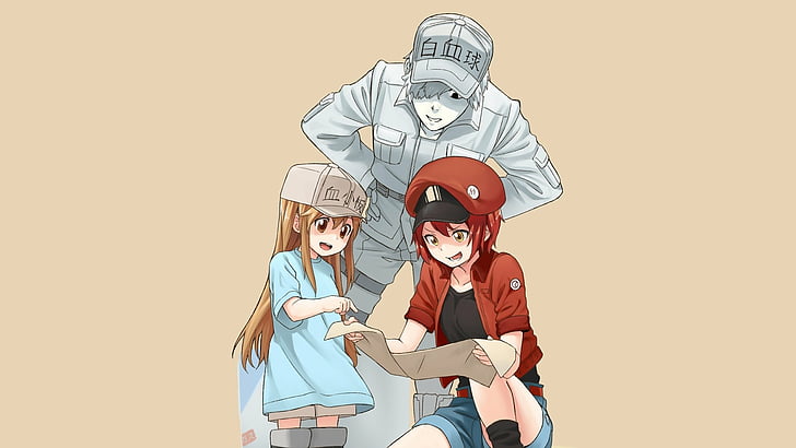 Anime, Cells at Work !, AE3803 (Cells at Work), Platelet (Cells at Work!), U-1146 (Cells At Work!), Fondo de pantalla HD