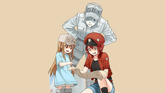 Anime, Cells at Work!, AE3803 (Cells at Work), Trombocyter (Cells at Work!), U-1146 (Cells At Work!), HD tapet HD wallpaper
