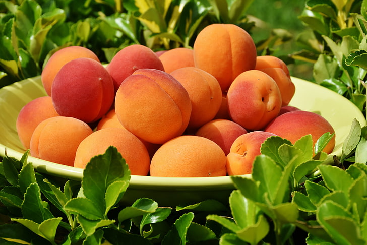 плоды персика, абрикос, фрукты, тарелка, листья, HD обои