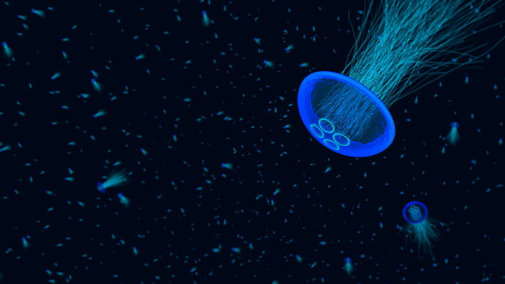 медузи, под вода, HD тапет
