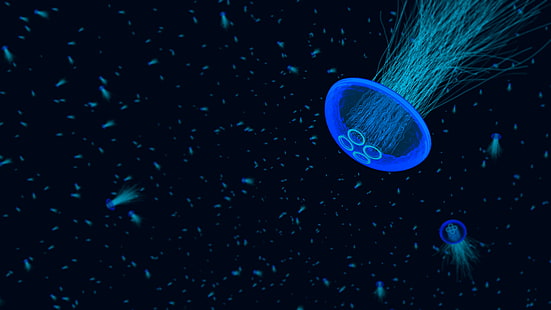 медуза, подводная, HD обои HD wallpaper