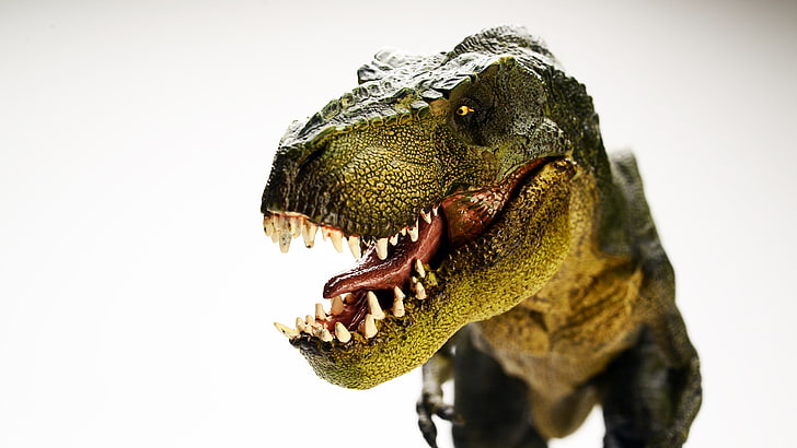 dinosaurio, tiranosaurio, tiranosaurio rex, trex, paleontología, 5k uhd, Fondo de pantalla HD