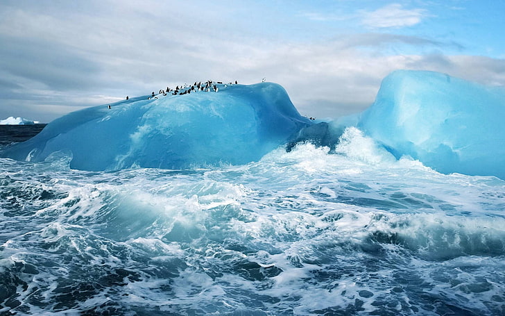 water waves, penguins, sea, ice, ice berg, HD wallpaper
