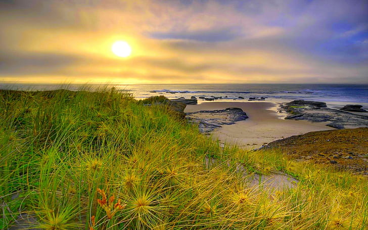 おはよう自然、草、太陽、海岸、自然と風景、 HDデスクトップの壁紙