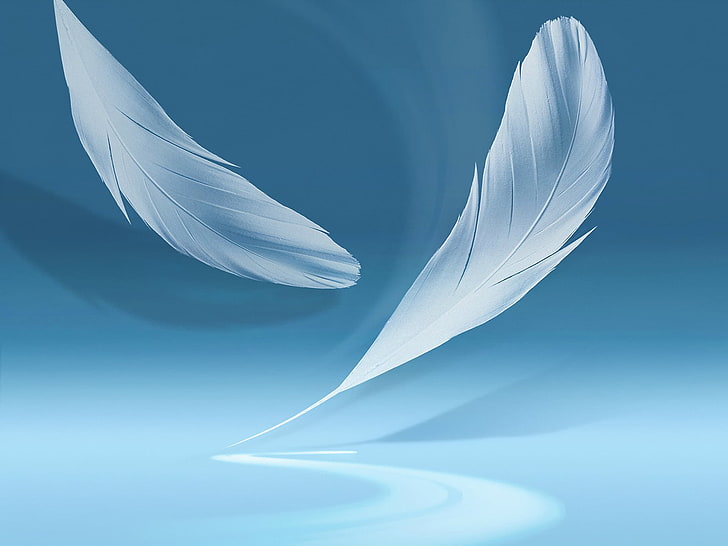 두 개의 흰색 깃털, 배경, 그림자, 깃털, 갤럭시 노트 2, HD 배경 화면