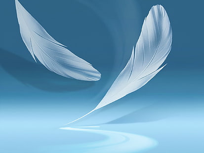 два белых перья, фон, тень, перья, Galaxy Note 2, HD обои HD wallpaper
