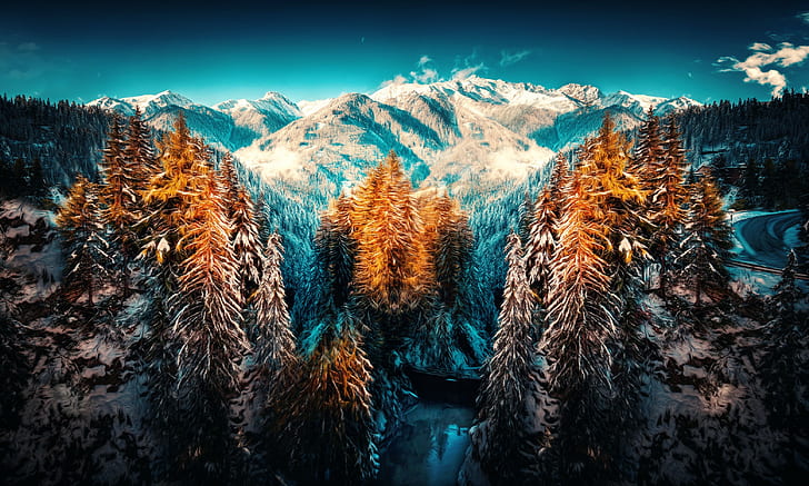冬、雪、風景、自然、山、 HDデスクトップの壁紙
