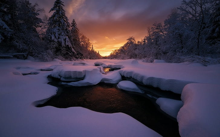 ธรรมชาติภูมิทัศน์พระอาทิตย์ตกเย็นฤดูหนาวป่าท้องฟ้าเมนน้ำแข็งเมฆต้นไม้หิมะ, วอลล์เปเปอร์ HD