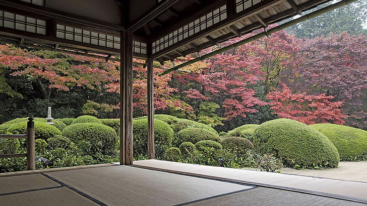Giappone, giardino, alberi, cortile, giardino zen, Sfondo HD