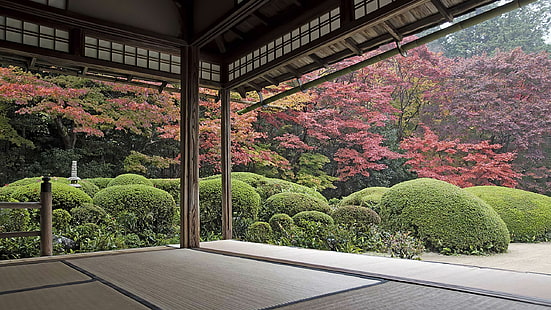 Япония, градина, дървета, двор, дзен градина, HD тапет HD wallpaper