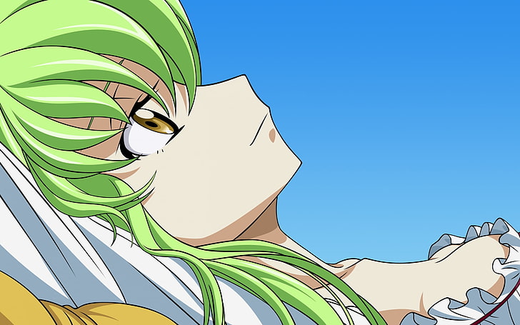 緑髪の女性アニメキャラクターイラスト 女の子 髪 緑 柔らかい 見て Hdデスクトップの壁紙 Wallpaperbetter