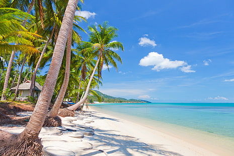 зелени листа кокосови дървета, пясък, море, небе, облаци, пейзаж, природа, Тайланд, красив, тропически, небе, Самуи, Ко Самуи, тропически плаж, кокосови дървета, кокосови палми, HD тапет HD wallpaper