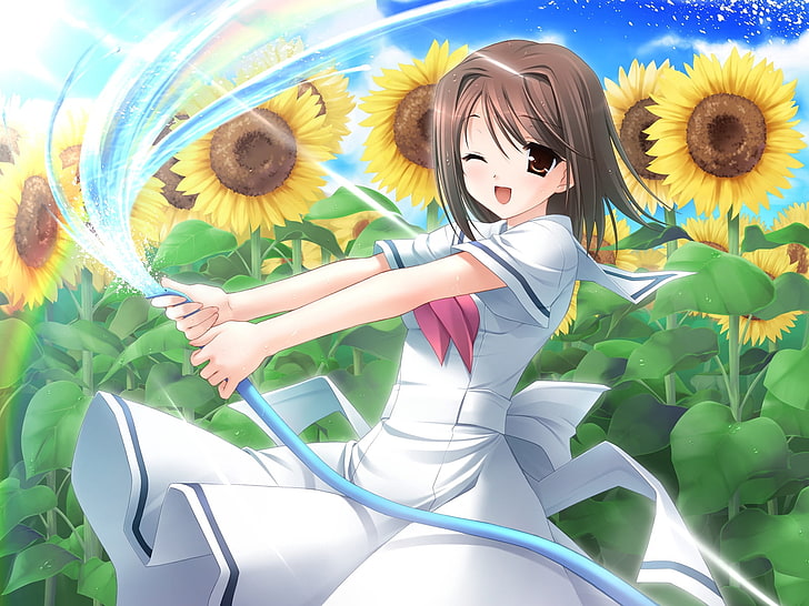 brown-haired girl anime character holding hose wallpaper, kanekiyo miwa, amesarasa, seifuku, sanbongi yuki, girl, sunflowers, hose, water, HD wallpaper
