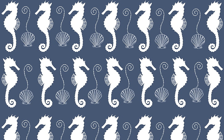 Textura, padrão, cavalo marinho, concha, verão, papel, branco, azul, HD papel de parede