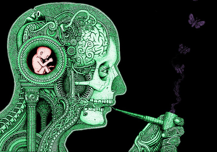 мозг, заводной, детка, наука, курение, бабочка, череп, шестерни, произведения искусства, HD обои