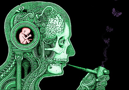 cerebro, mecanismo de relojería, bebé, ciencia, fumar, mariposa, calavera, engranajes, ilustraciones, Fondo de pantalla HD HD wallpaper