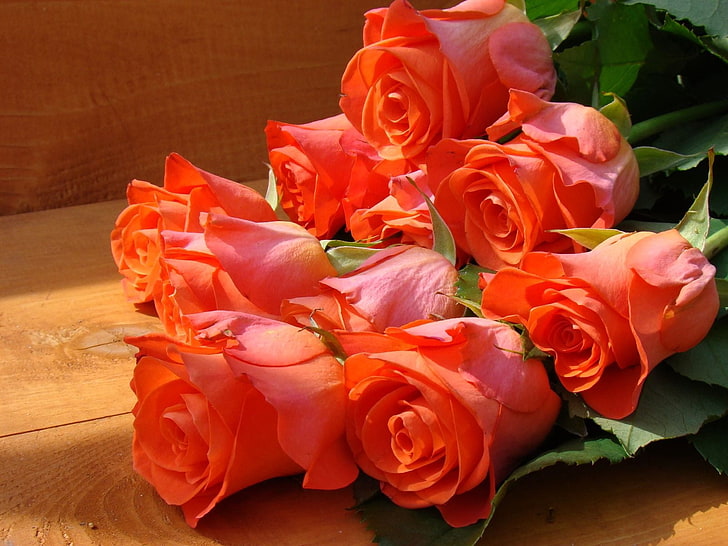 karangan bunga mawar merah, mawar, bunga, karangan bunga, bangku, keindahan, Wallpaper HD
