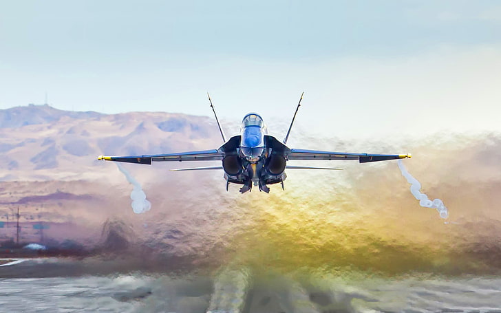 灰色の戦闘機、航空機、軍用機、マクドネルダグラスF / A-18ホーネット、ジェット戦闘機、 HDデスクトップの壁紙