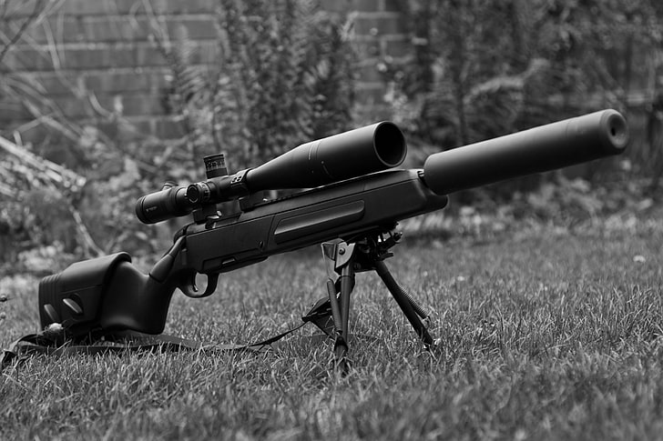 sniper rifle with suppressor, grass, sight, rifle, muffler, sniper, optical, Steyr Scout, HD wallpaper