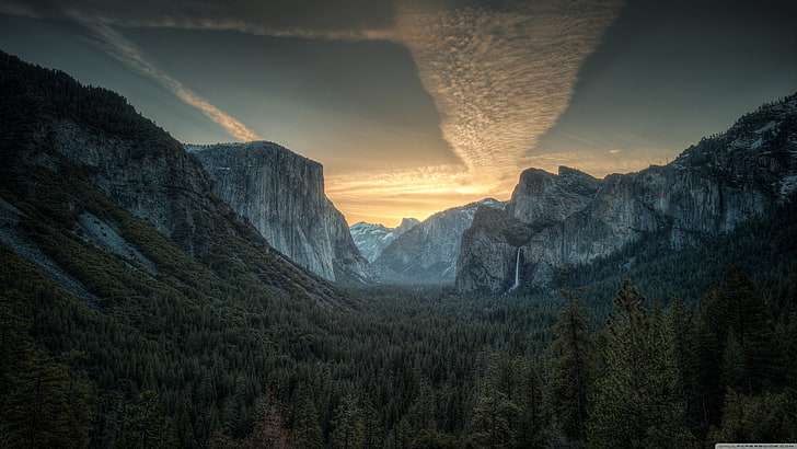 pineta verde, montagne, natura, parco nazionale di Yosemite, Sfondo HD