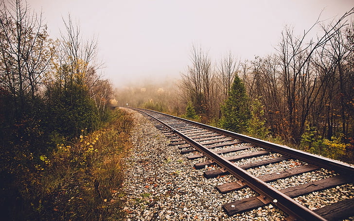 пейзаж, железопътна линия, дървета, падане, мъгла, HD тапет