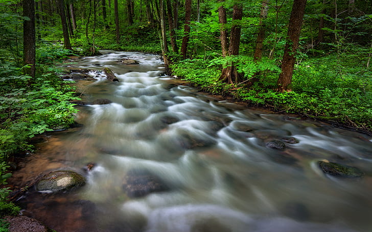 Mountain River Stream Forest Bushes Green Vegetation Landscape Nature Desktop Hd Wallpapers For Mobile Phones And Computer 3840×2400, HD wallpaper