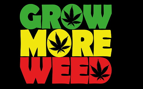 420, ganja, obat-obatan, obat-obatan, ganja, alam, tanaman, psikedelik, rasta, reggae, trippy, gulma, Wallpaper HD HD wallpaper