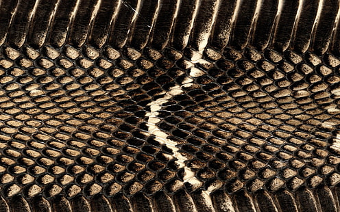 schwarzes Maschennetz, schlange, gefüge, hintergrund, draht, masche, leder, HD-Hintergrundbild HD wallpaper
