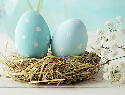 Синие яйца, праздник Пасхи, два синих и белых яйца, HD, праздник Пасхи, синие яйца, HD обои HD wallpaper