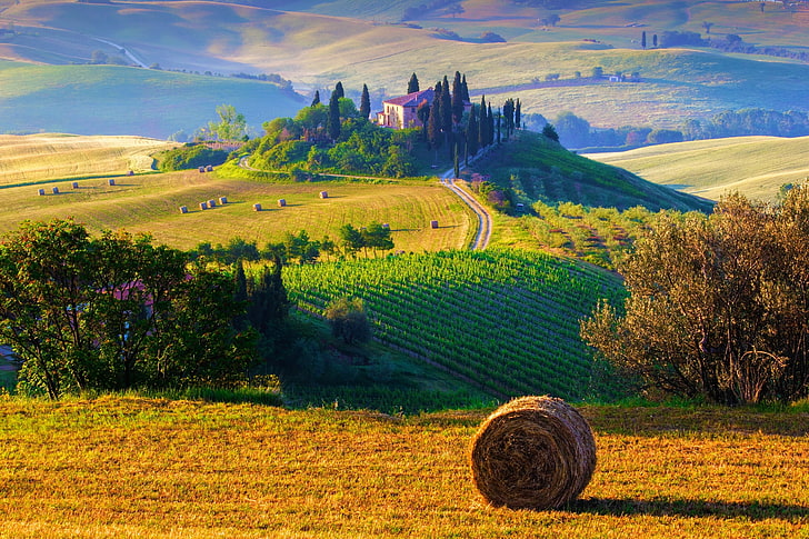 brown hay on field wallpaper, the sun, trees, landscape, nature, sunrise, hills, field, morning, hay, Italy, sun, Tuscany, Toscana, farms, stogi, farm, haystacks, HD wallpaper