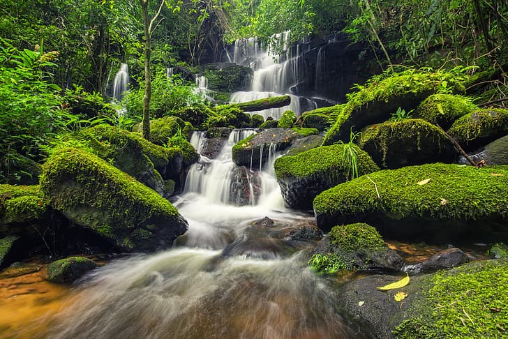 forest, river, stones, green, waterfall, moss, landscape, jungle, beautiful, tropical, HD wallpaper