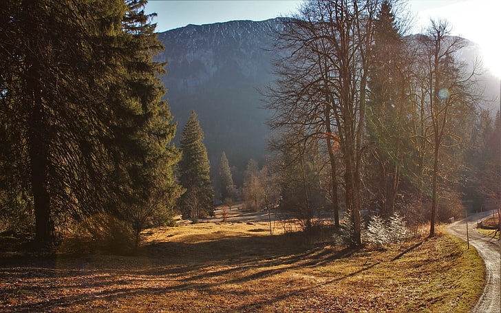 árboles, montañas, paisaje, camino de tierra, Fondo de pantalla HD
