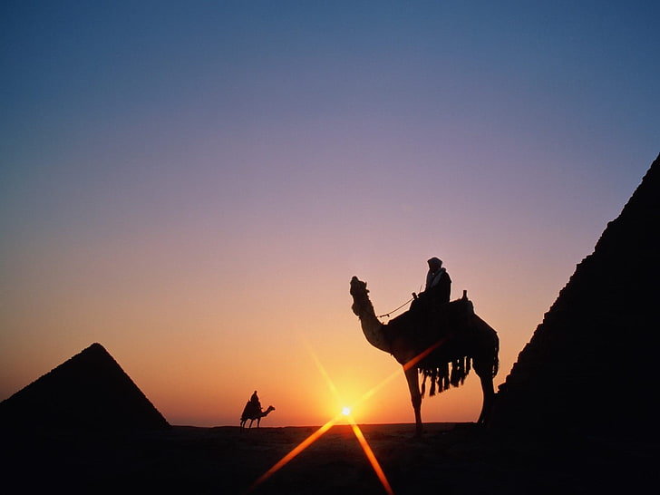 Pirámides de Giza, silueta, camellos, personas, hombres al aire libre, pirámide, Fondo de pantalla HD