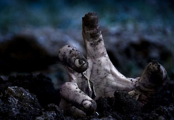 rechte Hand der Person, Zombies, HD-Hintergrundbild