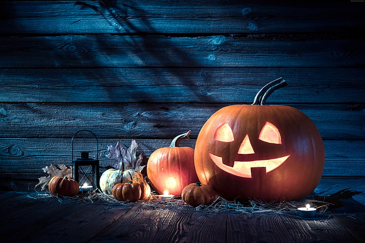 Liburan, Halloween, tuan rumah labu, 31 Oktober, Wallpaper HD