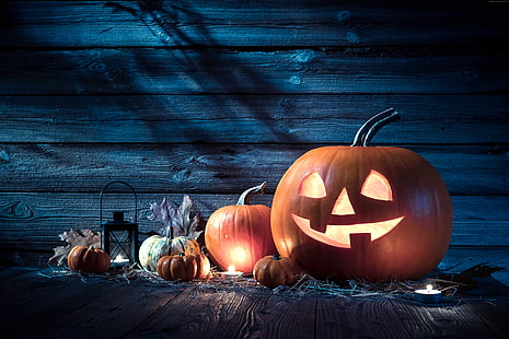 Holiday, Halloween, hôte citrouille, 31 octobre, Fond d'écran HD HD wallpaper