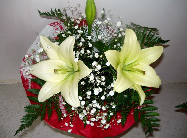 Zwei weiße Lilien, Lilien, Babys Atem, Farn, Blume, Dekoration, HD-Hintergrundbild