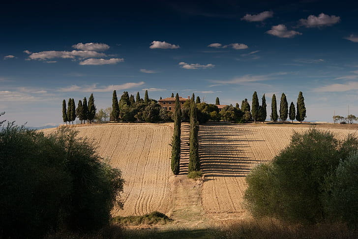 lapangan, pohon, langit, bukit, alam, Gladiator (film), Tuscany, rumah, awan, sendirian, Wallpaper HD